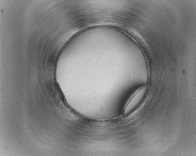 X0000088841177200707051440