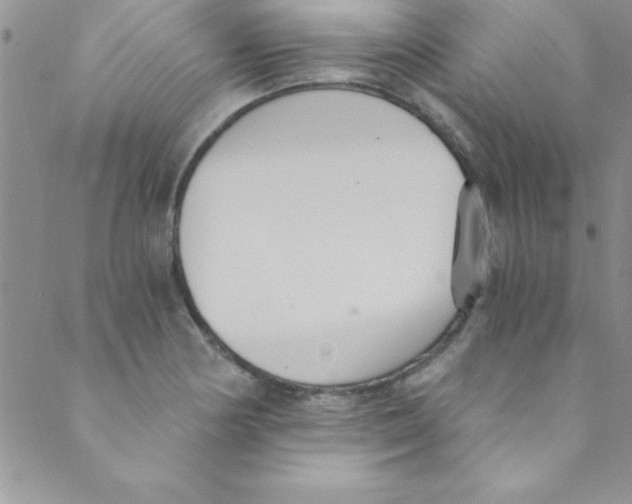 X0000088841178200707051440