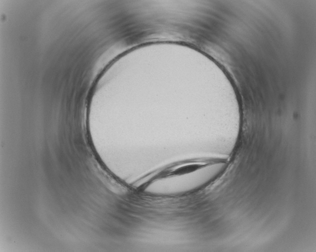 X0000088841179200707051440