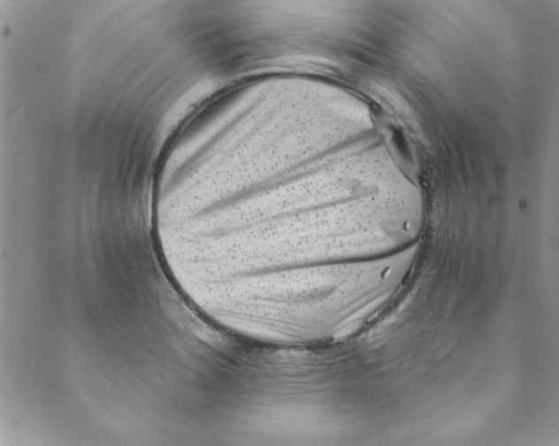 X0000088841180200707051440