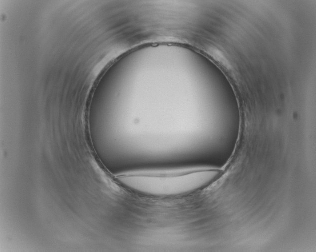 X0000088841181200707051440