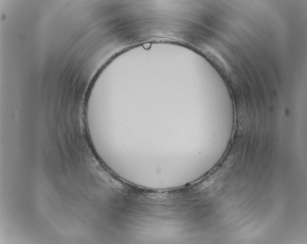 X0000088841182200707051440