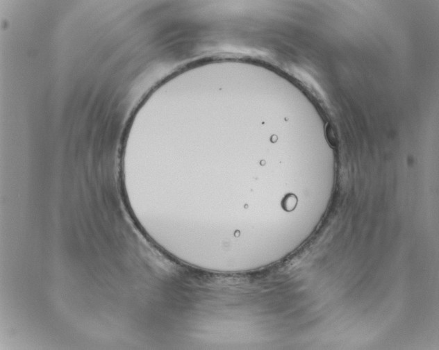 X0000088841183200707051440