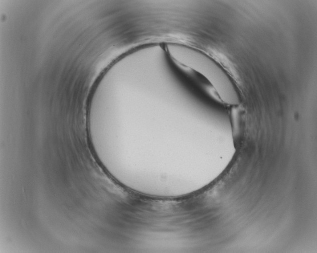 X0000088841184200707051440