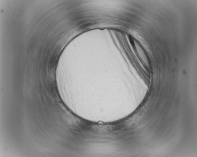 X0000088841185200707051440