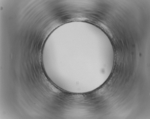 X0000088841186200707051440