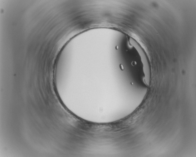 X0000088841187200707051440