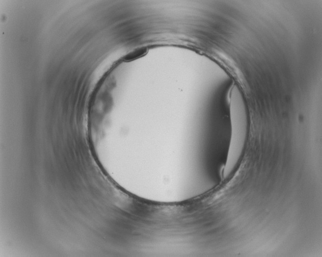 X0000088841188200707051440