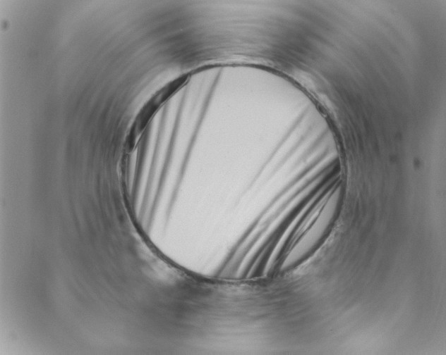 X0000088841189200707051440