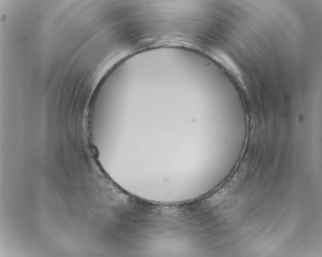 X0000088841190200707051440