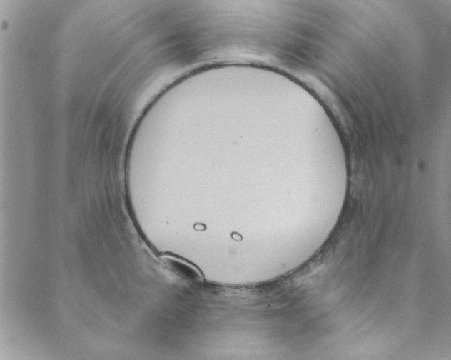 X0000088841191200707051440