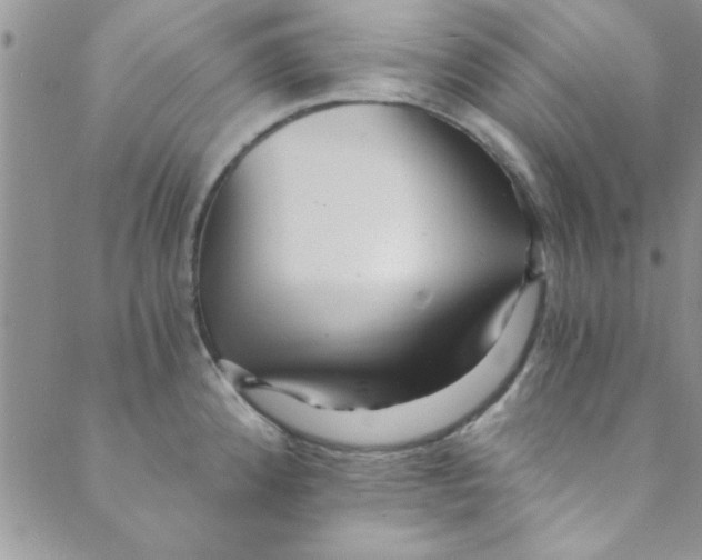 X0000088841192200707051440