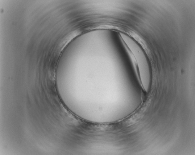 X0000088841193200707051440