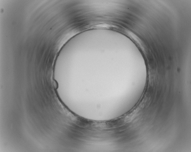 X0000088841194200707051440