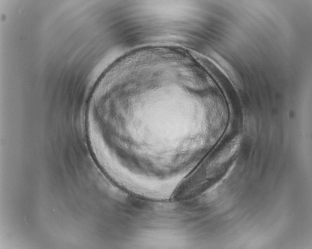 X0000088841196200707051440