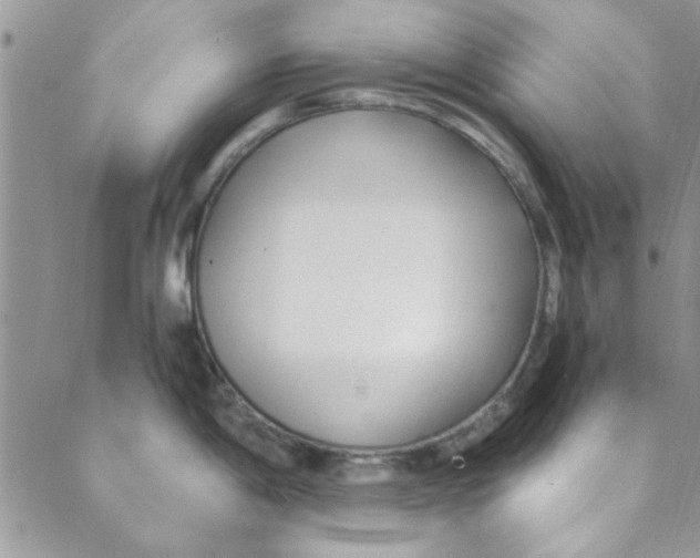 X0000088841198200707051440