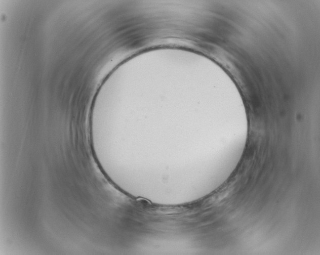 X0000088841199200707051440