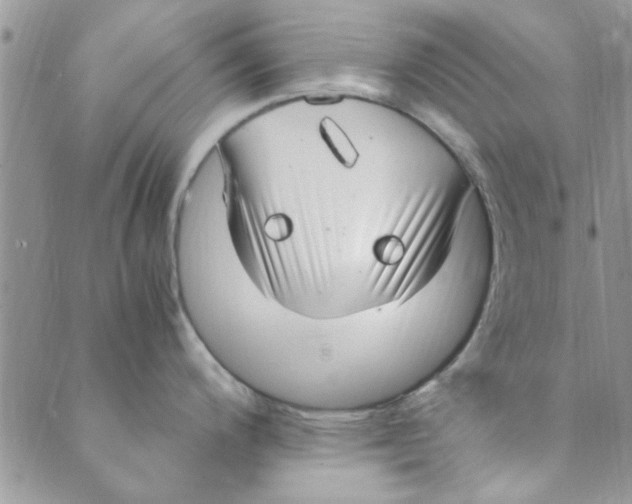 X0000088841200200707051440