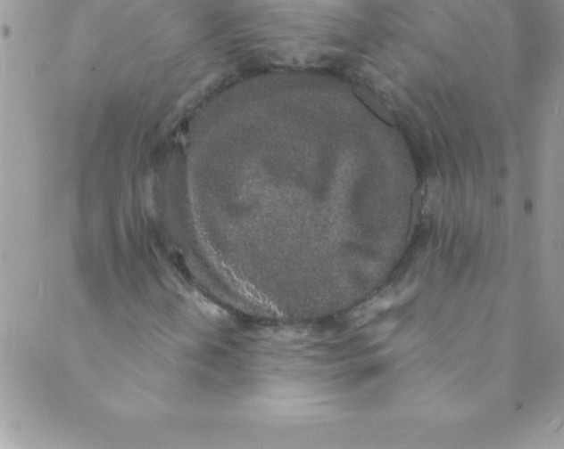 X0000088841202200707051439