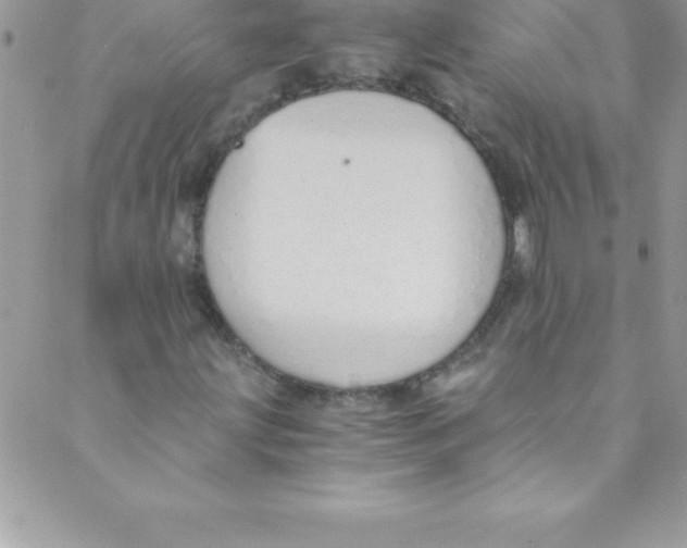 X0000088841203200707051439