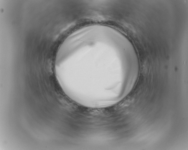 X0000088841205200707051439