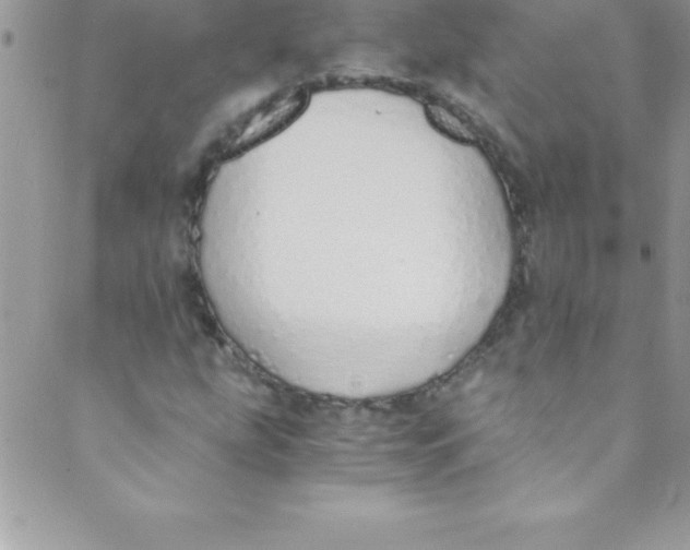 X0000088841207200707051439