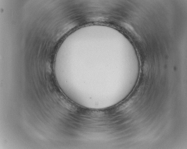 X0000088841209200707051439