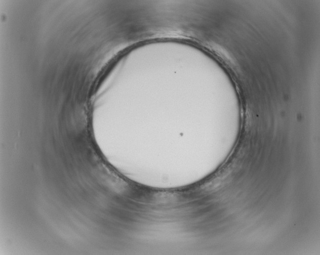 X0000088841212200707051439