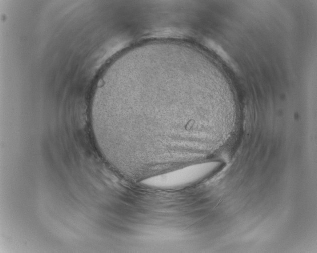 X0000088841213200707051439