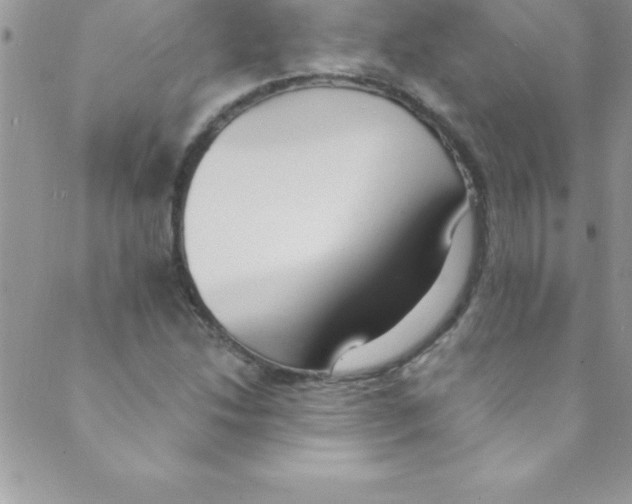 X0000088841214200707051439