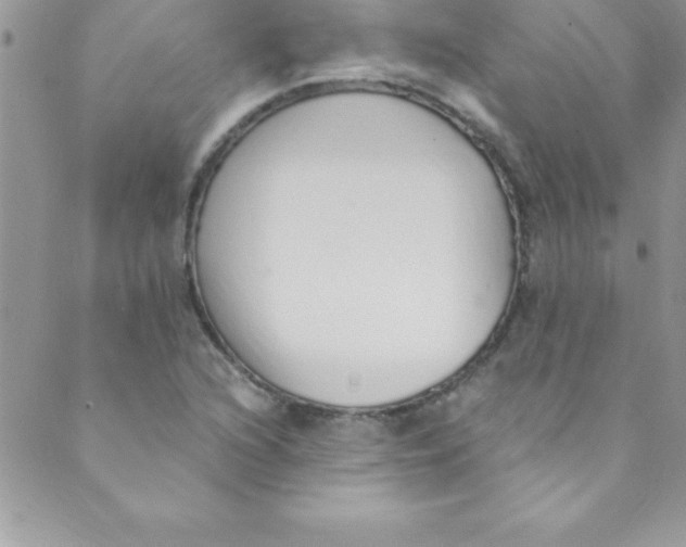 X0000088841216200707051439