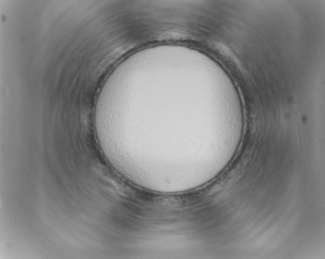 X0000088841217200707051439