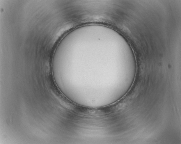 X0000088841218200707051439