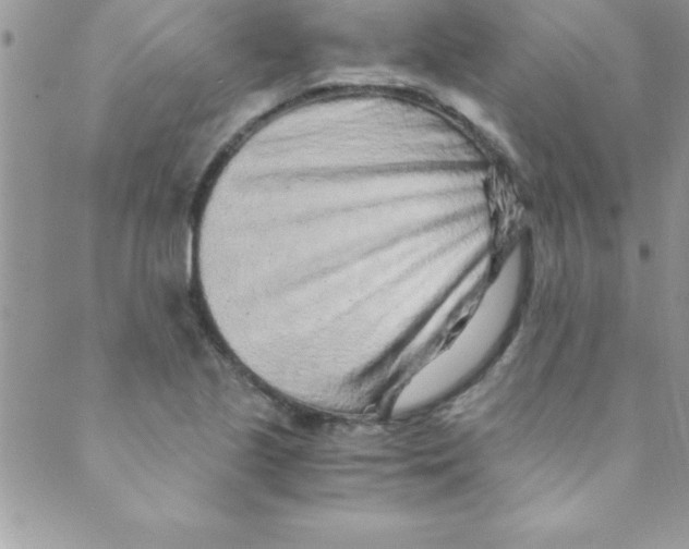 X0000088841221200707051439