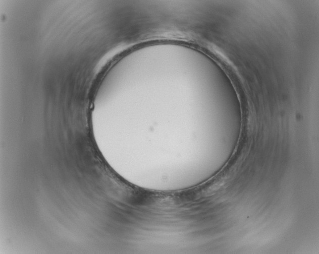 X0000088841222200707051439