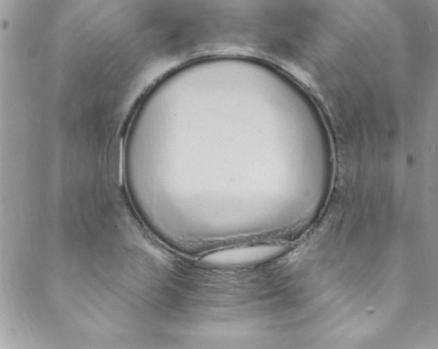 X0000088841223200707051439