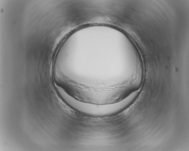 X0000088841224200707051439