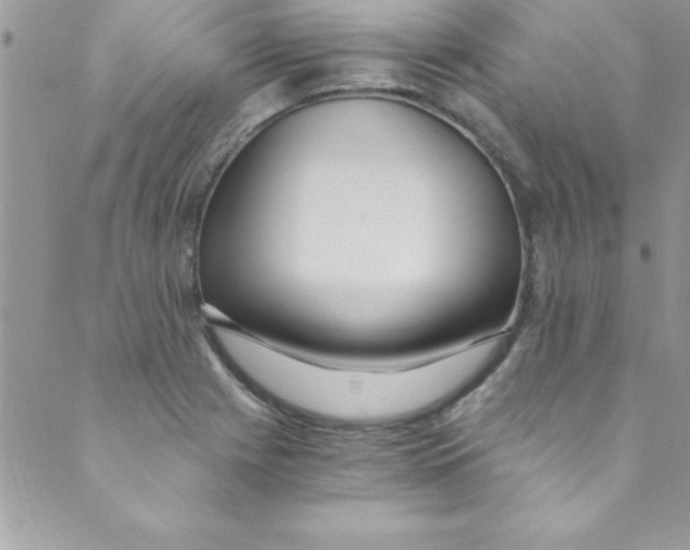 X0000088841225200707051439