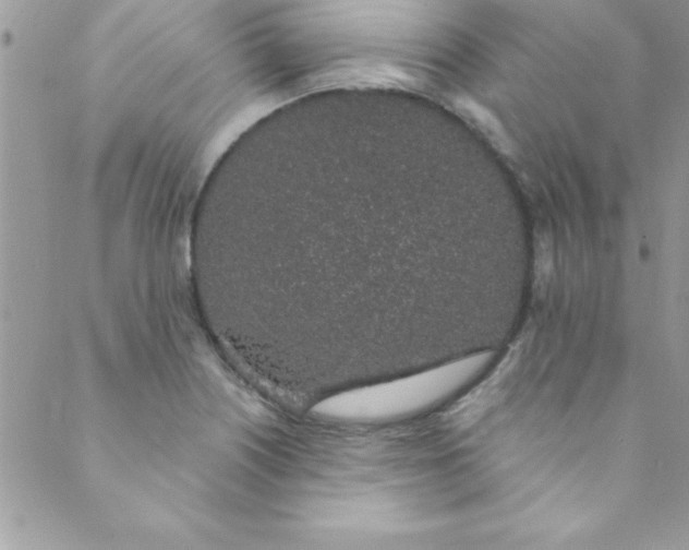 X0000088841226200707051439