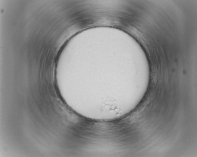 X0000088841227200707051439