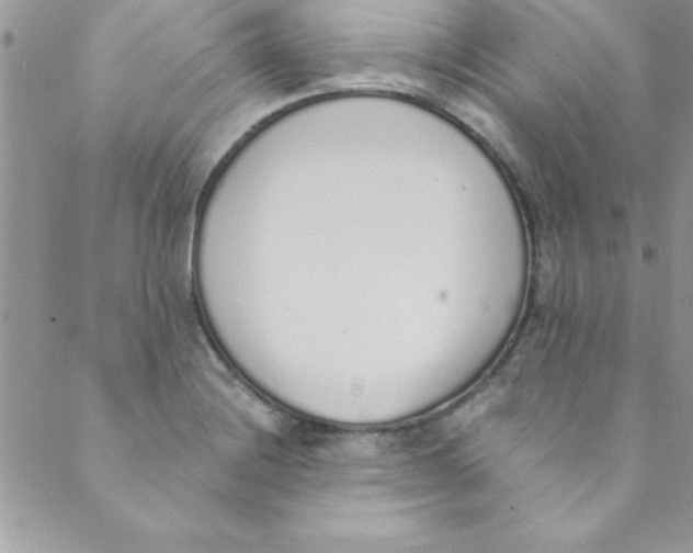 X0000088841228200707051439