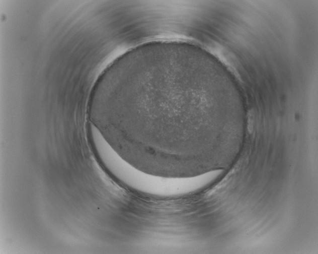 X0000088841229200707051439