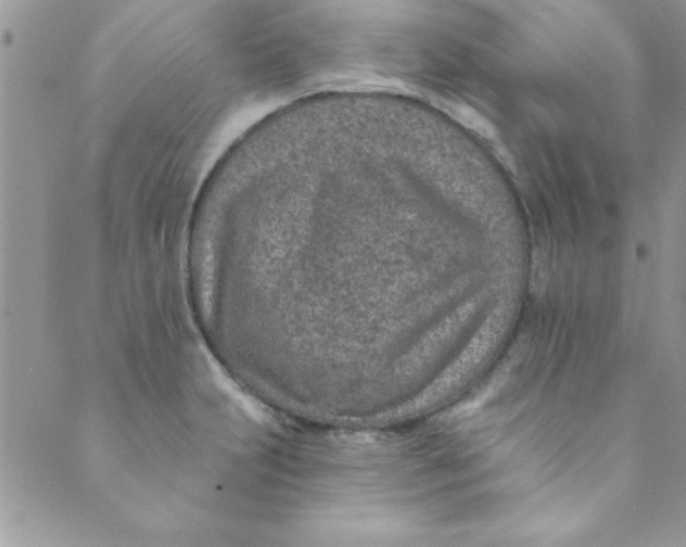 X0000088841231200707051439