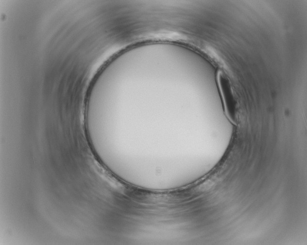 X0000088841232200707051439