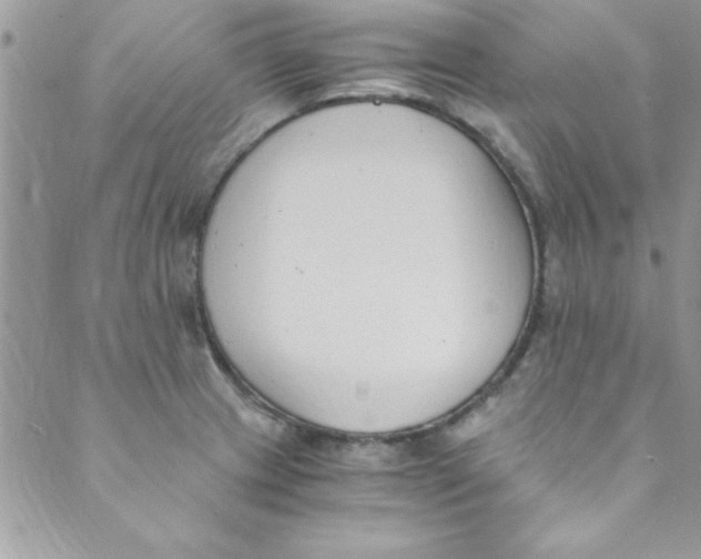 X0000088841233200707051439