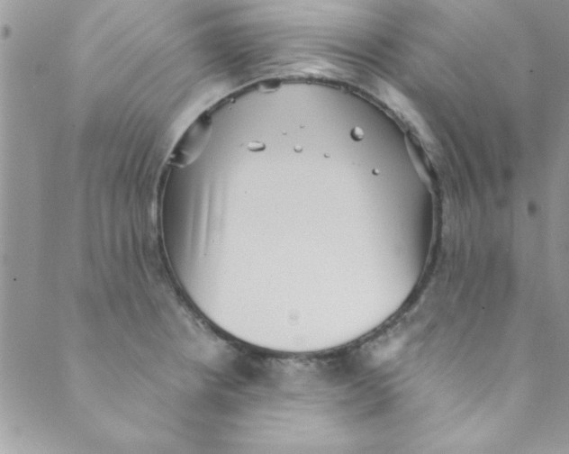 X0000088841234200707051439