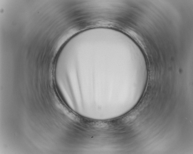 X0000088841235200707051439