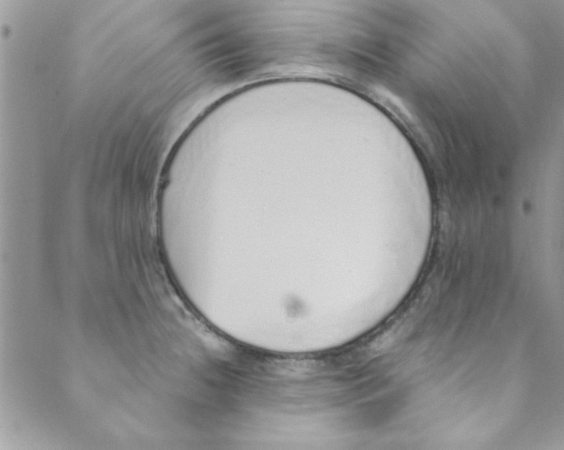 X0000088841236200707051439