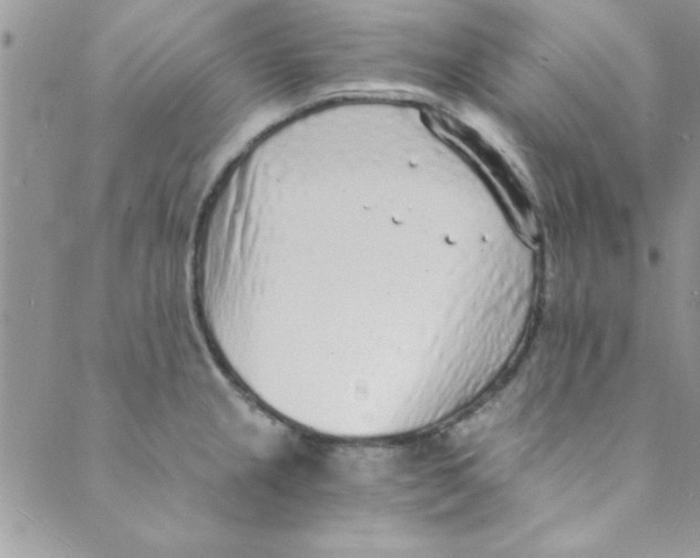 X0000088841237200707051439