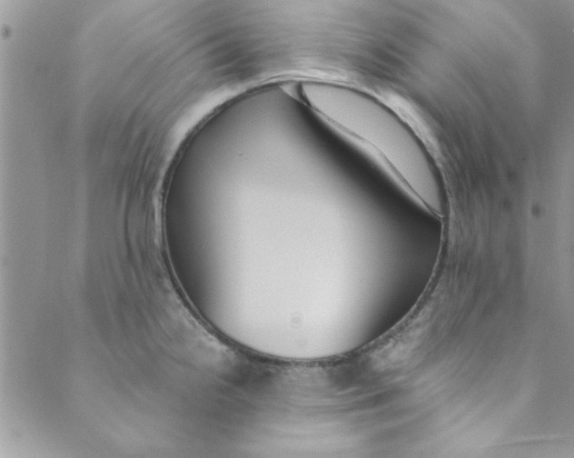 X0000088841238200707051439